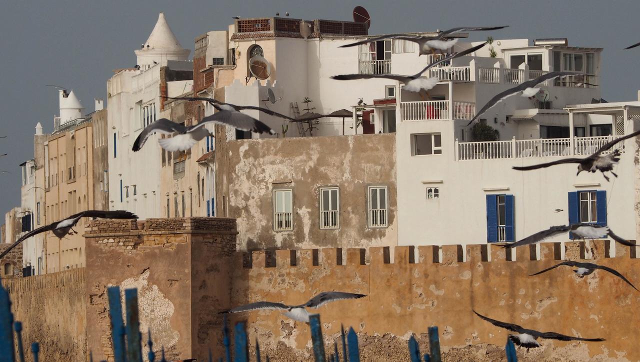 Dar Rahaothello Bed & Breakfast Essaouira Ngoại thất bức ảnh